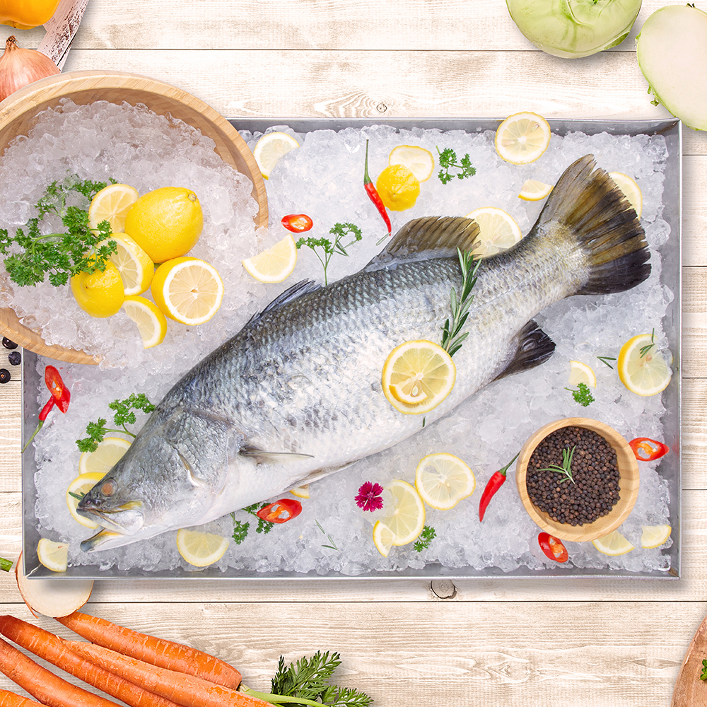 Seabass Whole Buy Online Fish TankFully Fresh Singapore